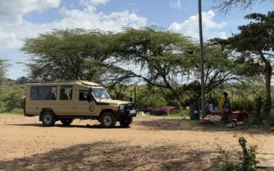 How to Choose Between Budget and Luxury Safari in Tanzania