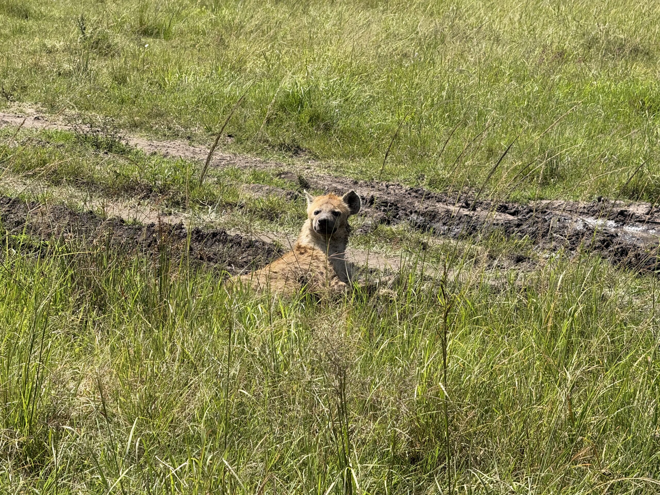 IMG_0421