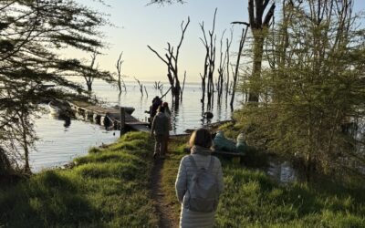 7-Day vs 10-Day Tanzania Safari